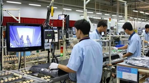 东莞妙龄女子的价值观危机 经济咨询服务视角下的反思