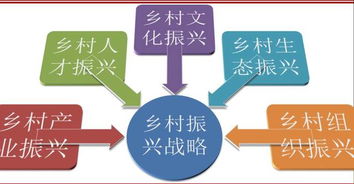 新发展理念引领新时代经济建设——第十课复习解析与社会经济咨询服务新机遇
