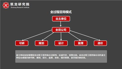 全过程咨询 社会经济咨询服务的新范式与核心价值